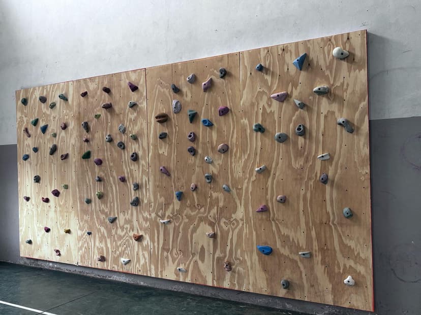 Escalada en la Escuela